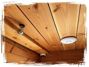 Afbeelding met Plank, triplex, timmerhout, hardhout

Door AI gegenereerde inhoud is mogelijk onjuist.